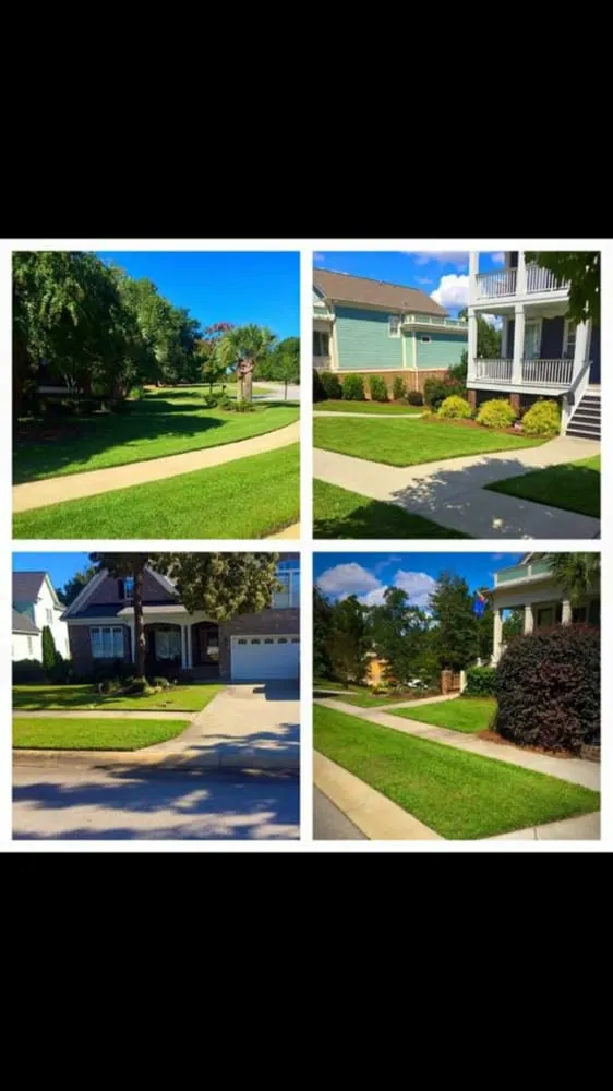 Professional landscaping services experts serving Camden, SC - Jose's lawncare