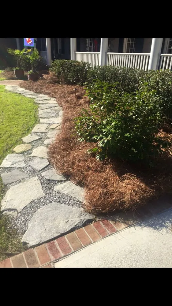 Custom lawn care service in Camden, SC - Jose's lawncare