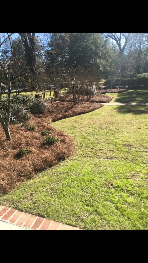 Expert residential landscaping near you in Camden, SC by Jose's lawncare