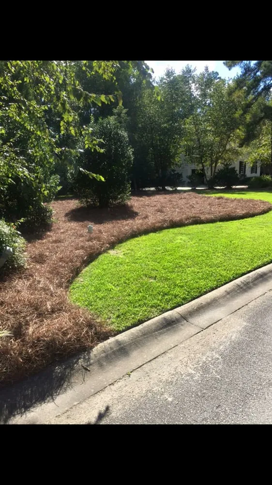 Affordable landscape installation for outdoor upgrades in Camden, SC by Jose's lawncare