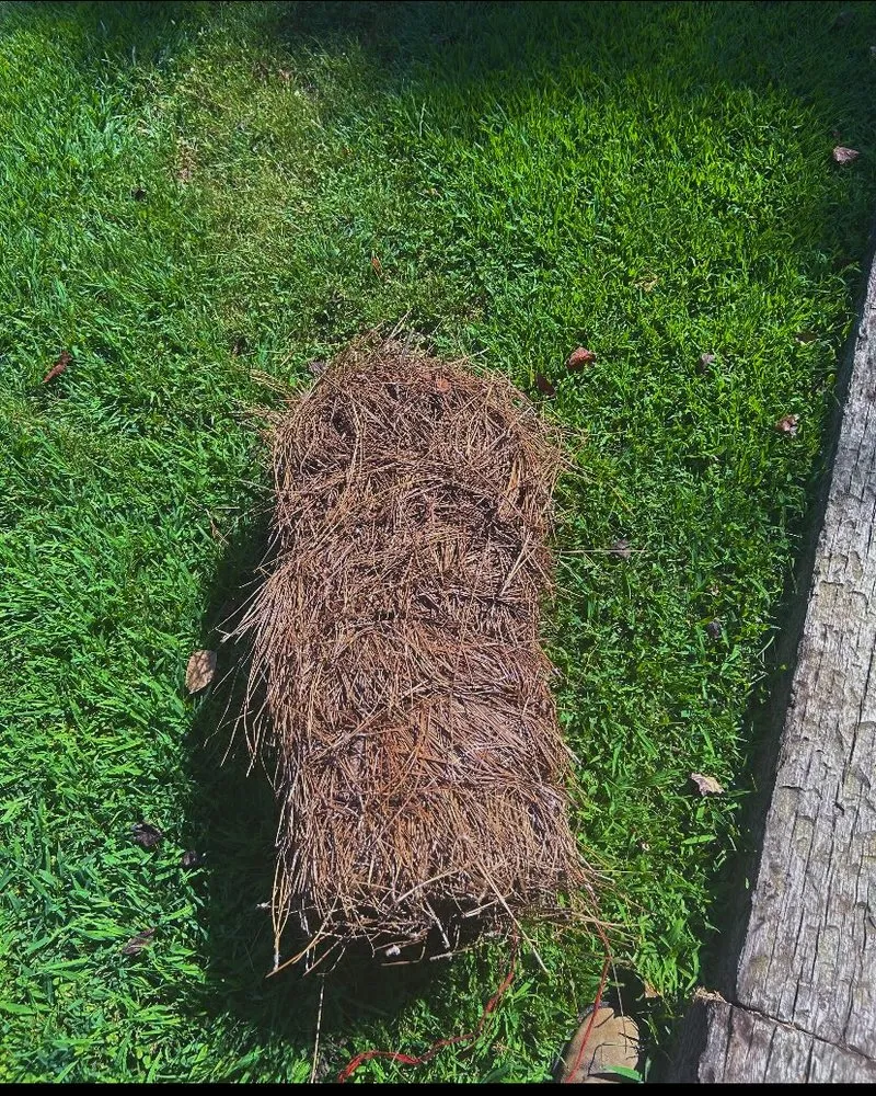 Affordable residential landscaping in Ellerbe, NC by Jose’s Pine Needles