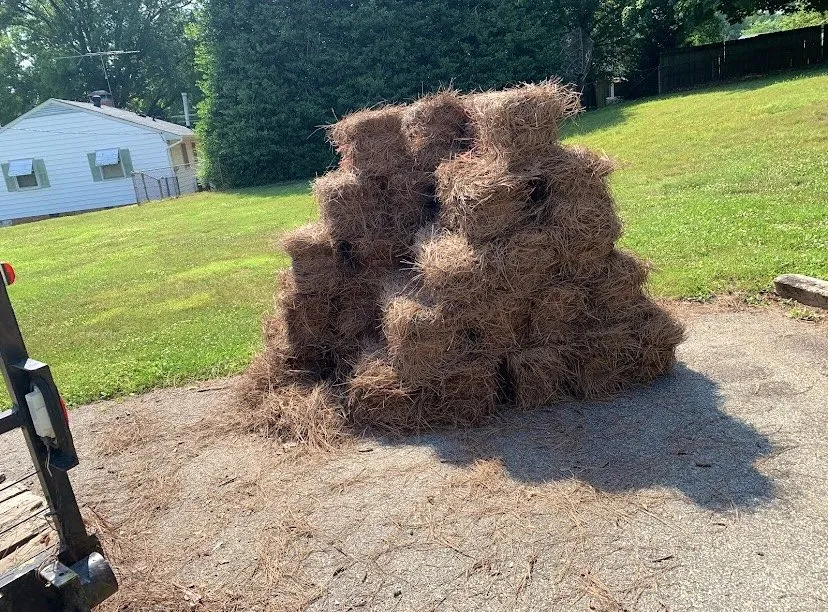 Custom garden landscaping experts serving Ellerbe, NC - Jose’s Pine Needles