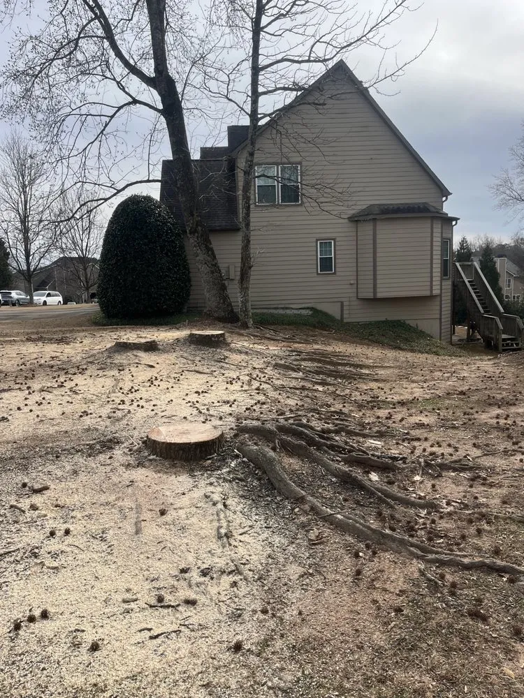 Custom residential landscaping experts serving Cumming, GA - Jose’s Professional Lawn Care