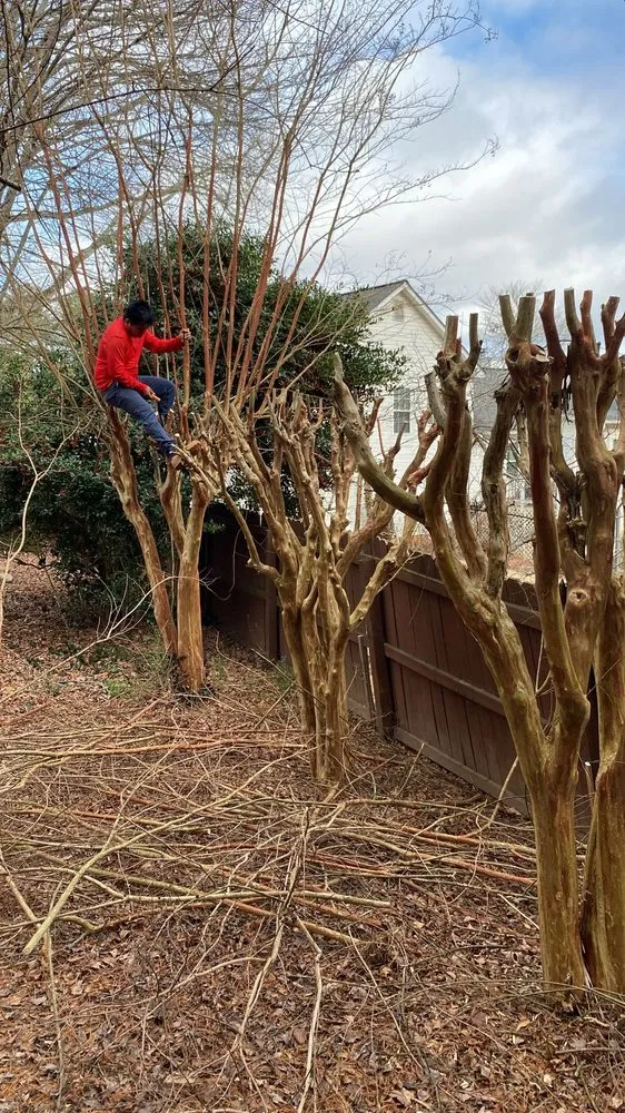 Trusted landscape design in Cumming, GA - Jose’s Professional Lawn Care