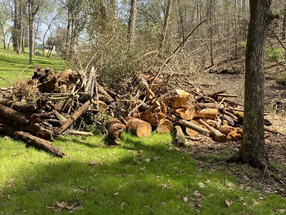 Affordable landscaping services for year-round maintenance across Maryville, TN - Jose's professional tree service and mowing