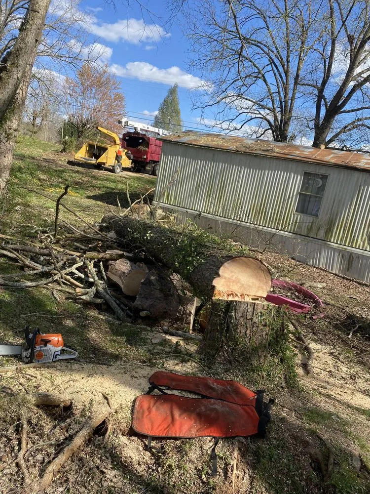 Custom landscape design in Maryville, TN by Jose's professional tree service and mowing