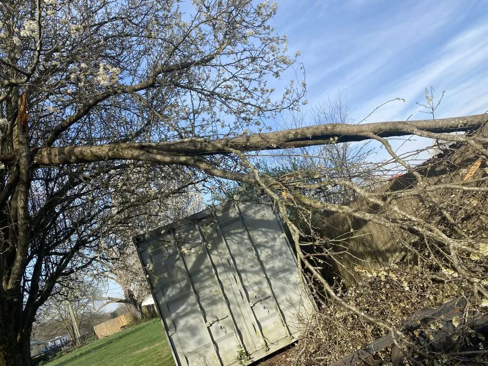 Local lawn care service in Maryville, TN - Jose's professional tree service and mowing