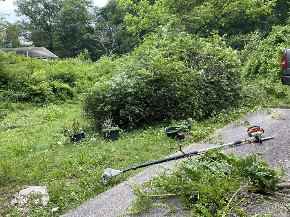 Top-rated landscaping services for beautiful yards across Maryville, TN - Jose's professional tree service and mowing