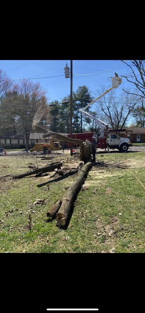 Professional outdoor landscaping for beautiful yards in Maryville, TN by Jose's professional tree service and mowing