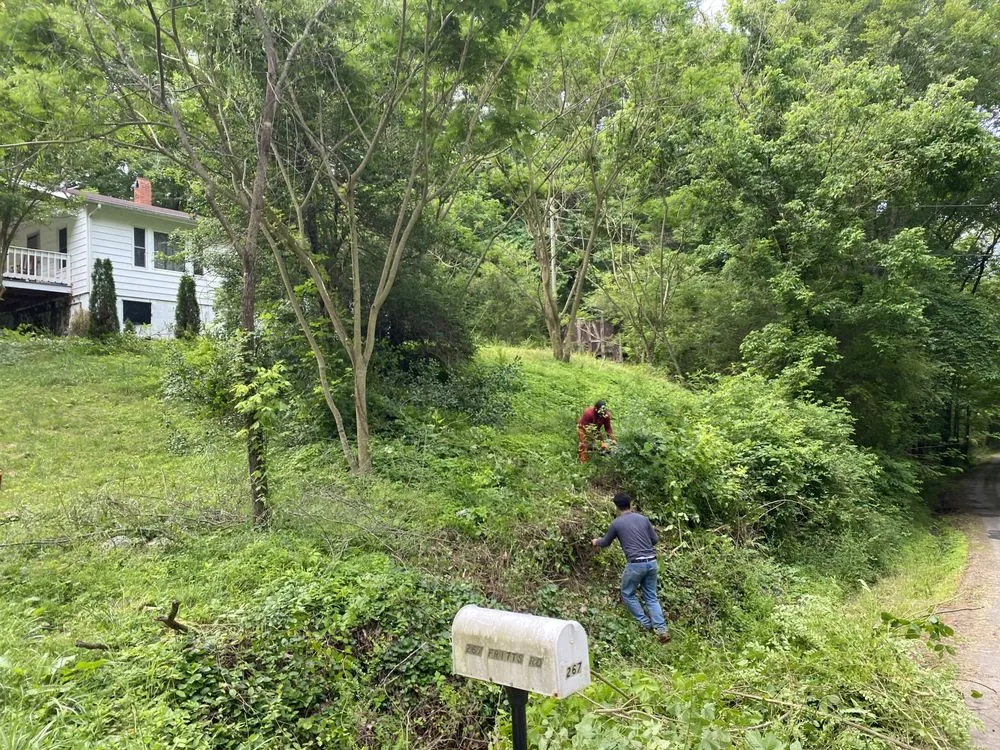 Expert landscape design for outdoor upgrades across Maryville, TN - Jose's professional tree service and mowing