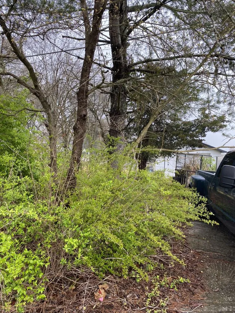 Expert residential landscaping in Maryville, TN by Jose's professional tree service and mowing