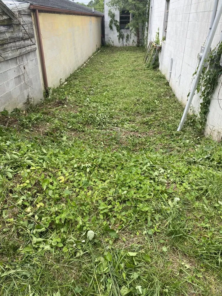 Affordable garden landscaping for year-round maintenance in Maryville, TN by Jose's professional tree service and mowing