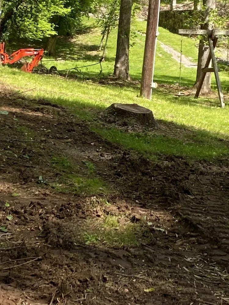 Top-rated lawn care service experts serving Maryville, TN - Jose's professional tree service and mowing