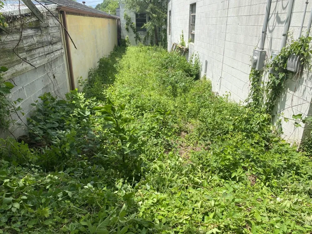 Top-rated landscape design experts serving Maryville, TN - Jose's professional tree service and mowing