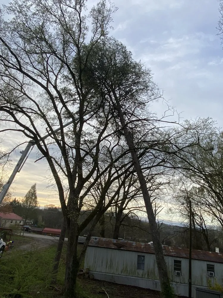 Local lawn mowing service experts serving Maryville, TN - Jose's professional tree service and mowing