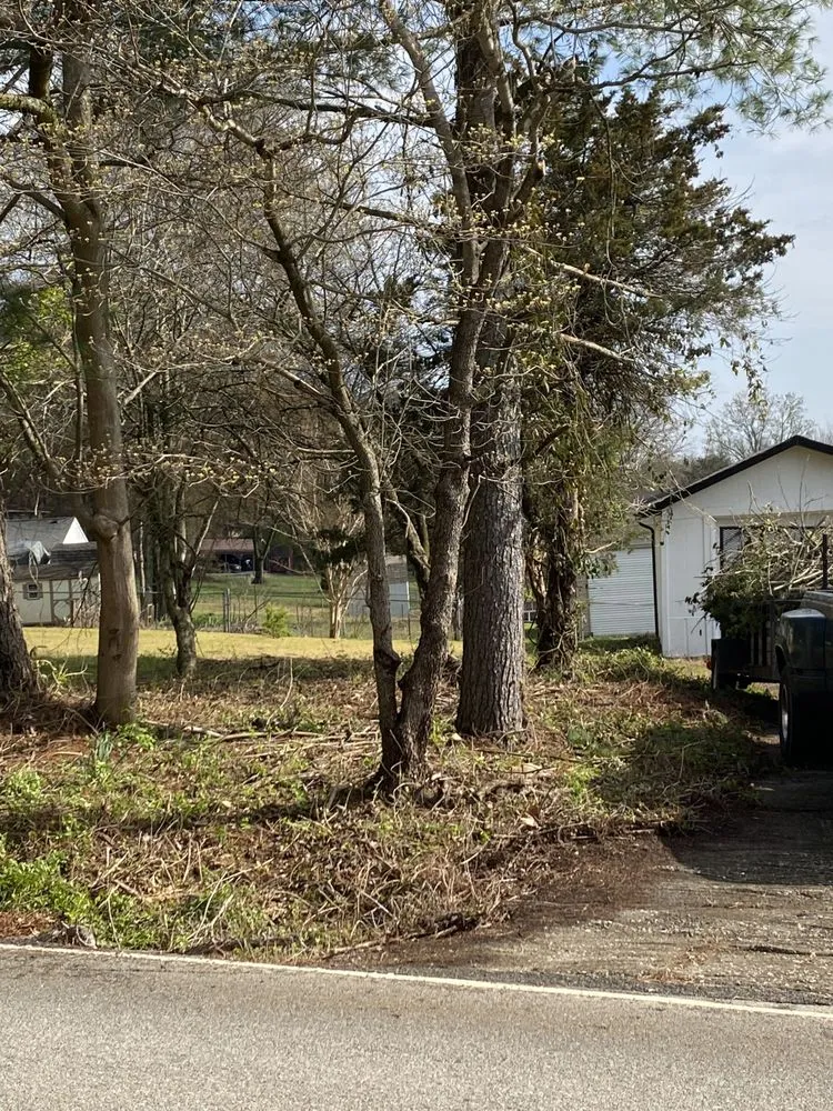 Affordable landscape design experts serving Maryville, TN - Jose's professional tree service and mowing