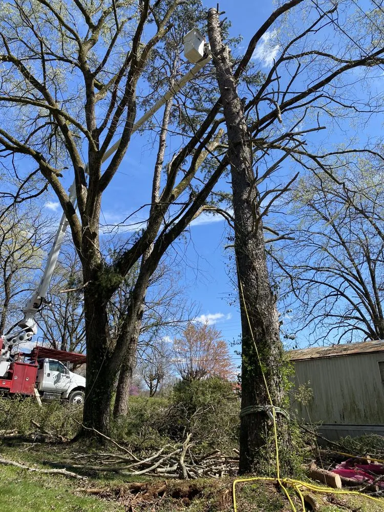 Reliable residential landscaping with custom design in Maryville, TN by Jose's professional tree service and mowing