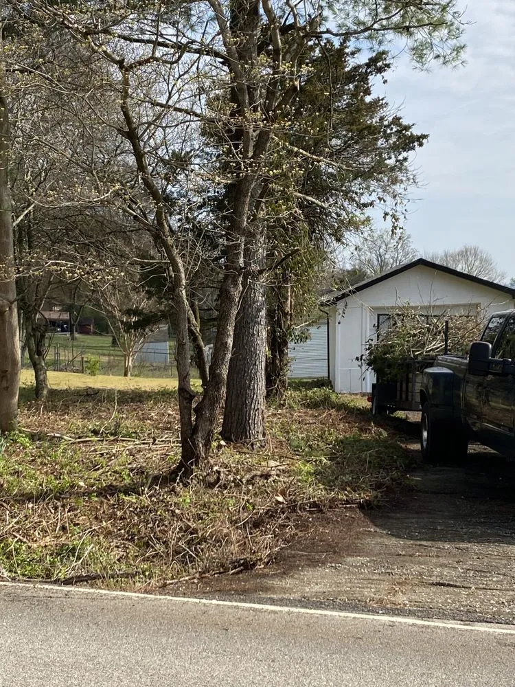 Affordable landscaping services in Maryville, TN by Jose's professional tree service and mowing