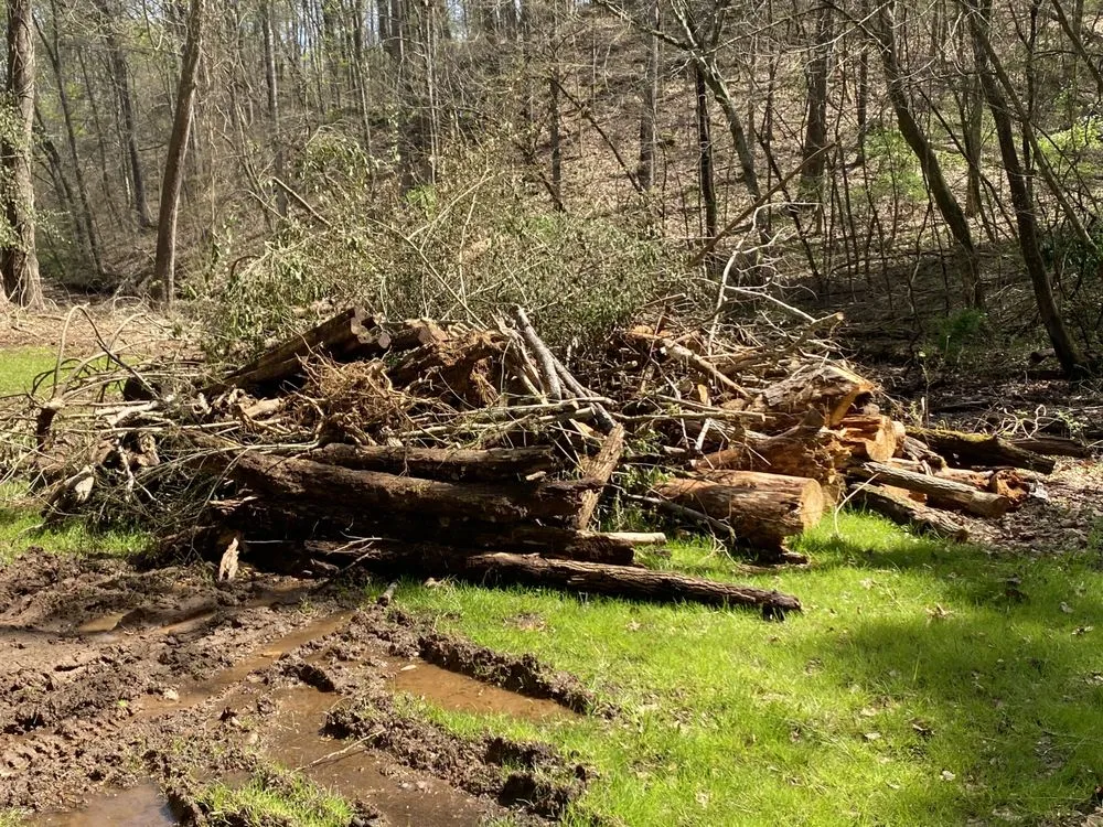 Expert yard cleanup service for homes in Maryville, TN by Jose's professional tree service and mowing