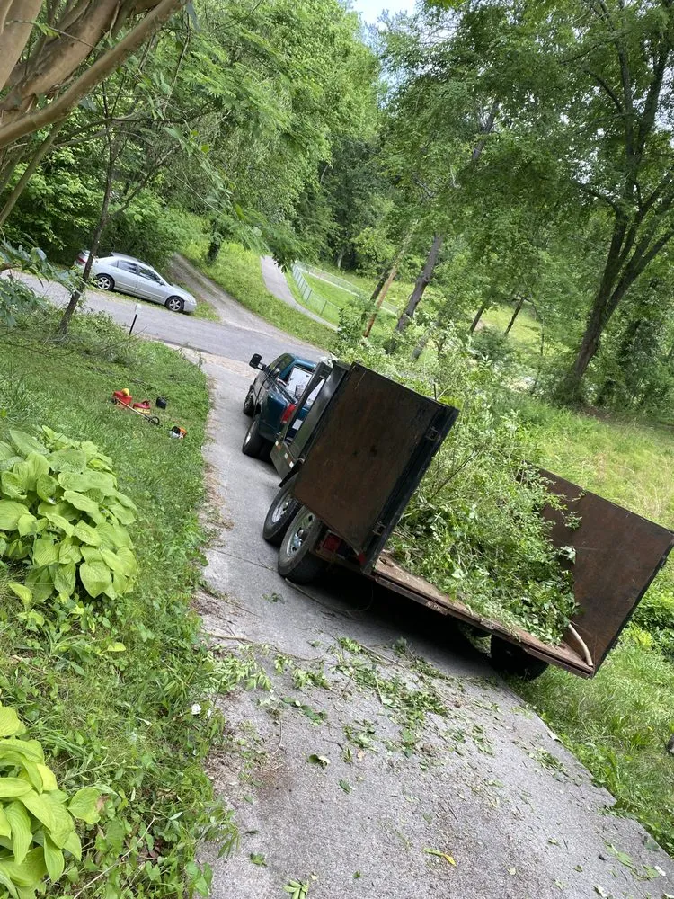 Professional landscape installation in Maryville, TN - Jose's professional tree service and mowing
