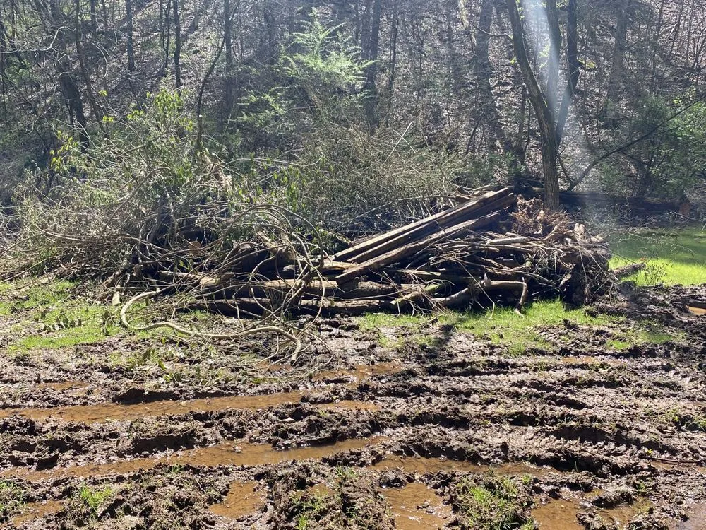 Local landscape design for year-round maintenance in Maryville, TN by Jose's professional tree service and mowing