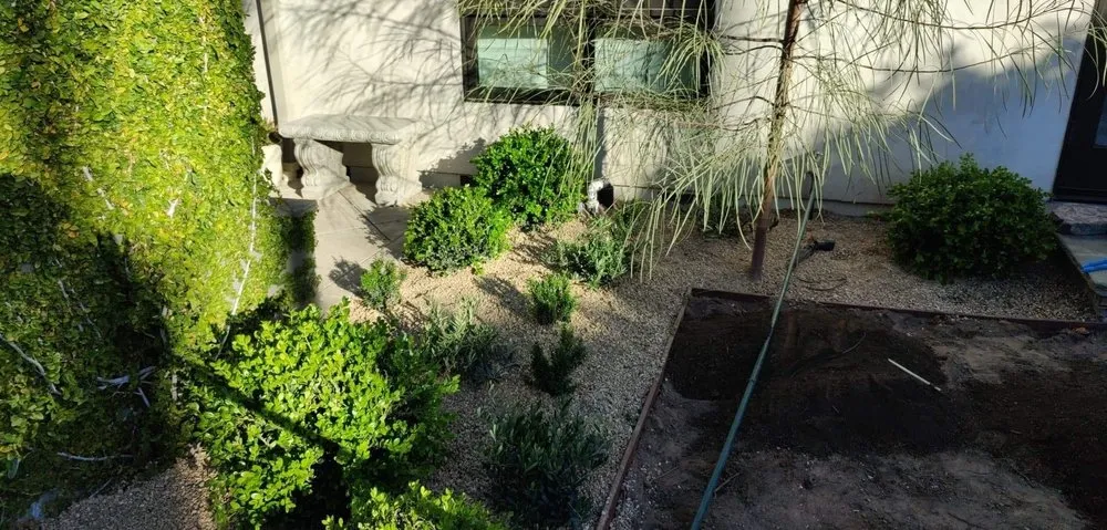 Top-rated outdoor landscaping for beautiful yards across Costa Mesa, CA - Jose's Rivera Landscaping