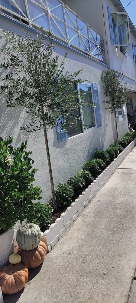 Local landscape design in Costa Mesa, CA by Jose's Rivera Landscaping