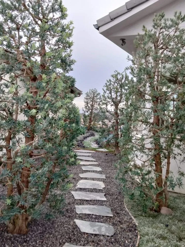 Expert lawn mowing service for homes in Costa Mesa, CA by Jose's Rivera Landscaping