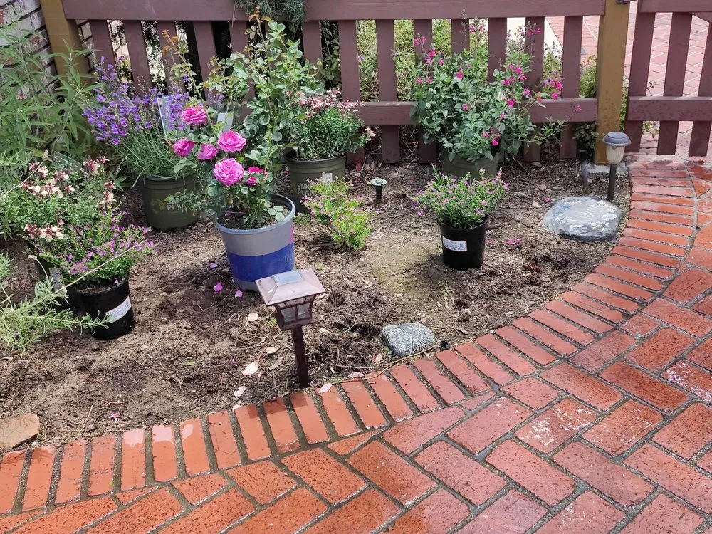 Affordable lawn care service experts serving Costa Mesa, CA - Jose's Rivera Landscaping