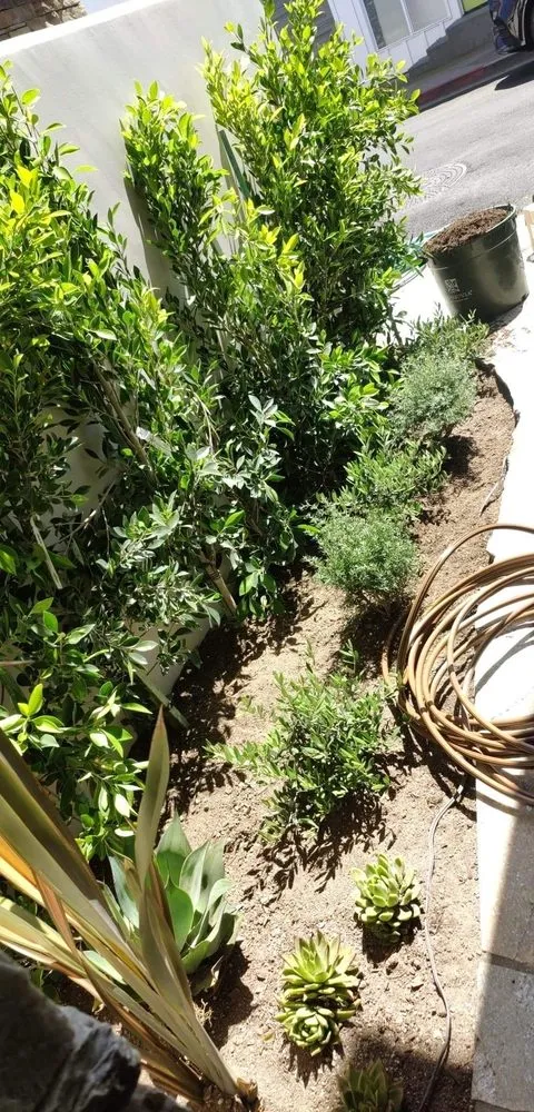 Affordable outdoor landscaping for outdoor upgrades across Costa Mesa, CA - Jose's Rivera Landscaping