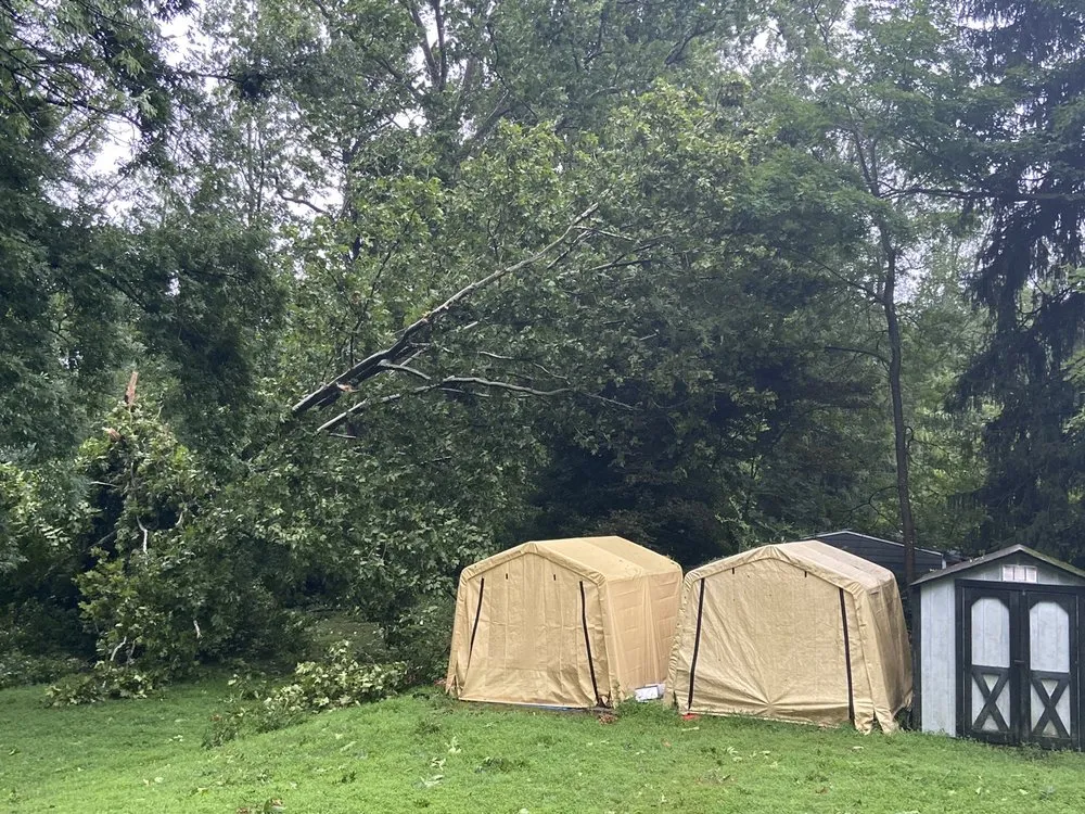 Affordable landscape installation with custom design in South Bound Brook, NJ by Jose's Tree Service & Landscaping