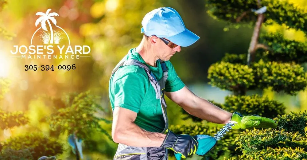 Expert yard maintenance in Tavernier, FL by Joses Yard Maintenance