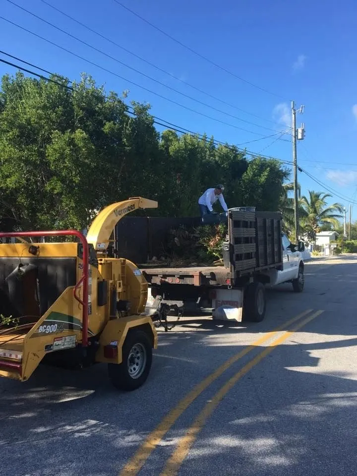 Custom landscape installation experts serving Tavernier, FL - Joses Yard Maintenance
