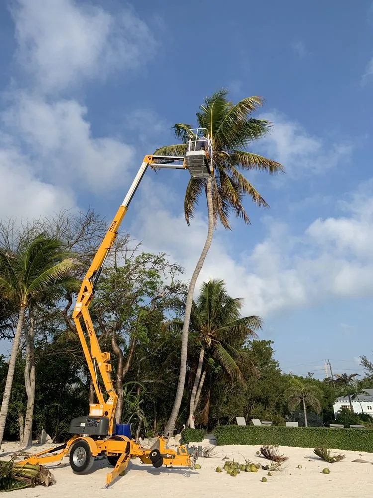Trusted residential landscaping experts serving Tavernier, FL - Joses Yard Maintenance