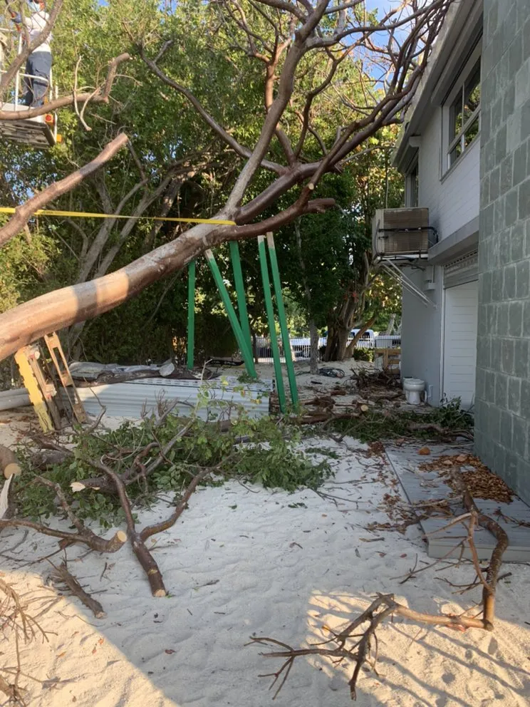 Trusted yard cleanup service in Tavernier, FL by Joses Yard Maintenance