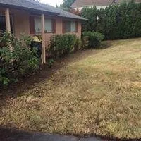 Expert landscaping services experts serving Springfield, OR - Jose's Yard Service