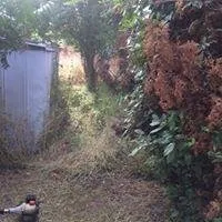 Local landscape design in Springfield, OR by Jose's Yard Service