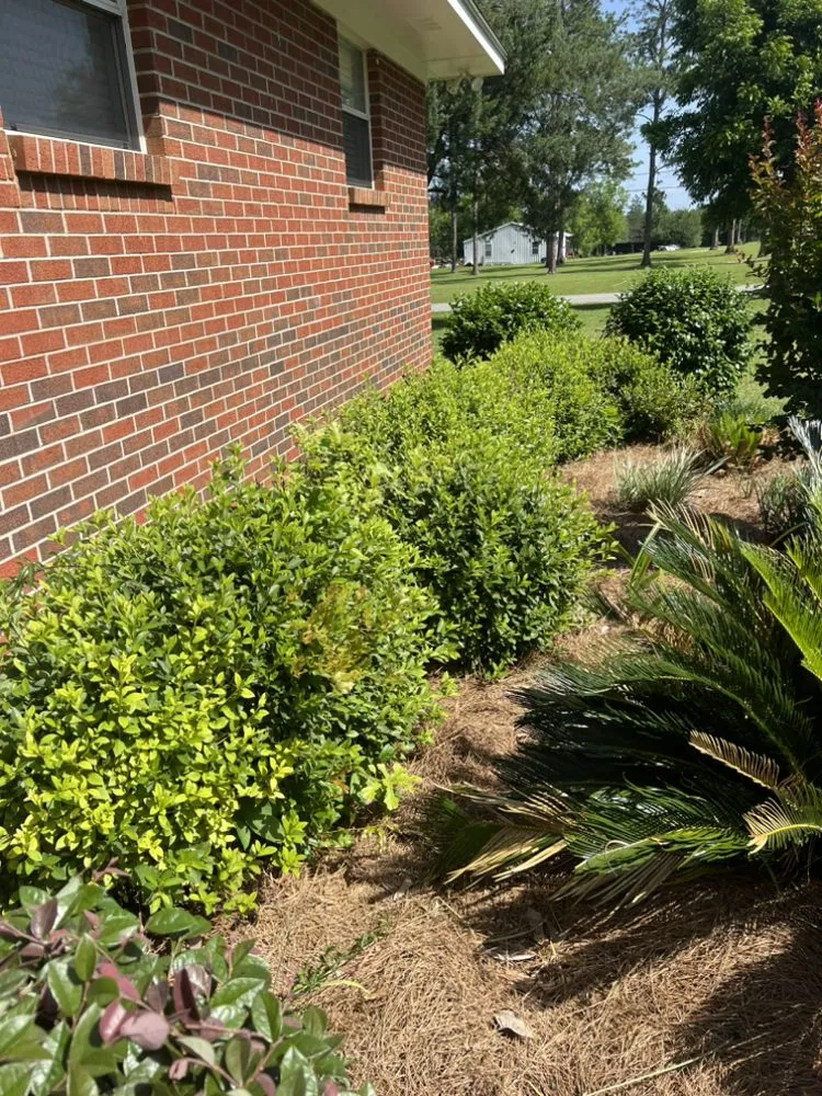 Local residential landscaping experts serving Chipley, FL - Joseys Lawn and Tree Care