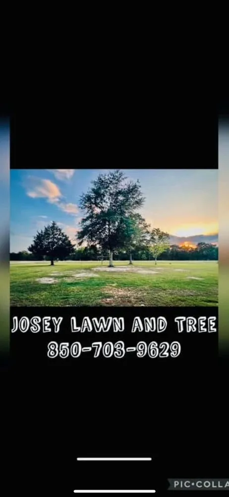 Trusted yard cleanup service experts serving Chipley, FL - Joseys Lawn and Tree Care