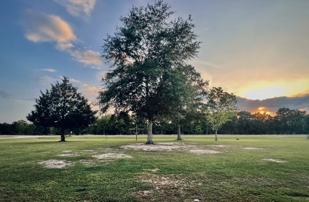 Affordable outdoor landscaping in Chipley, FL by Joseys Lawn and Tree Care