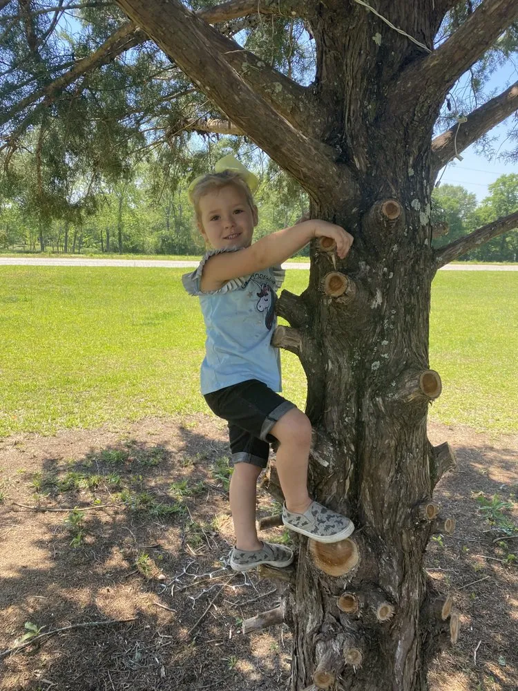 Custom landscaping services in Chipley, FL by Joseys Lawn and Tree Care