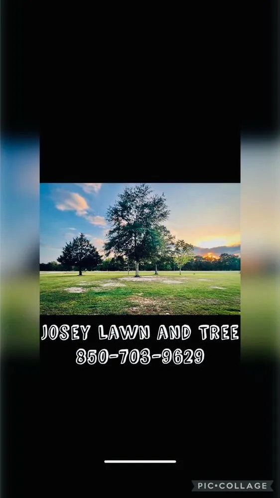 Professional lawn mowing service in Chipley, FL by Joseys Lawn and Tree Care