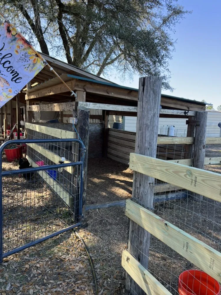 Professional residential landscaping for beautiful yards in Chipley, FL by Joseys Lawn and Tree Care