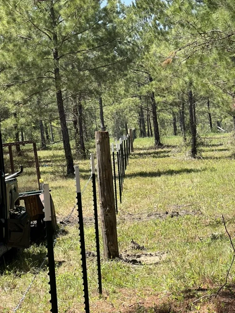 Affordable yard cleanup service in Chipley, FL - Joseys Lawn and Tree Care