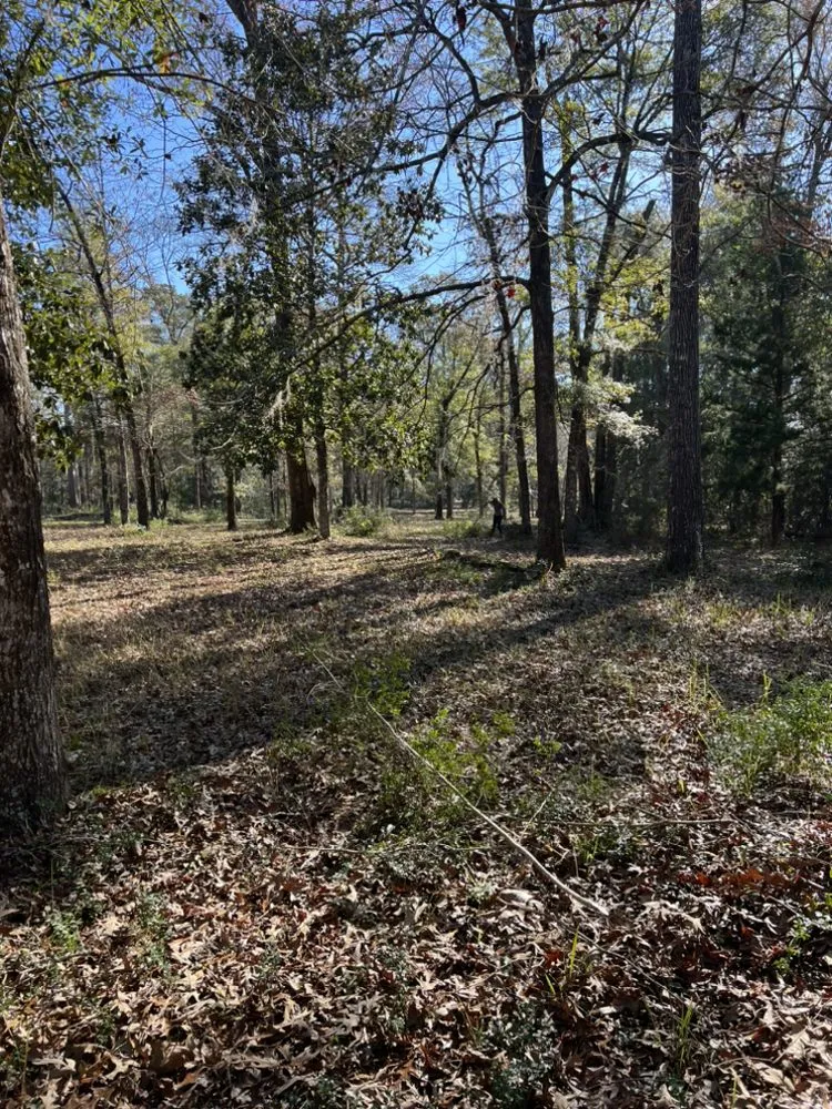 Top-rated lawn mowing service near you across Chipley, FL - Joseys Lawn and Tree Care