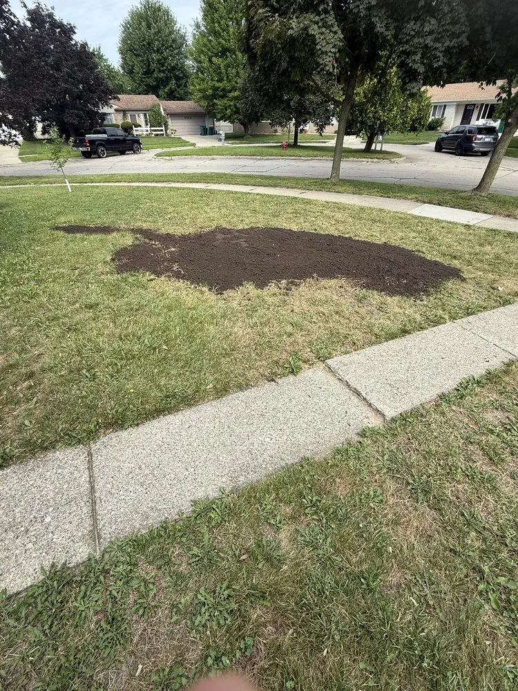 Trusted yard maintenance with custom design across Wayne, MI - Josh and Toms Dreamscapes