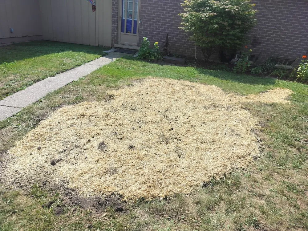 Professional garden landscaping in Wayne, MI - Josh and Toms Dreamscapes