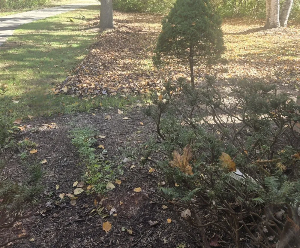 Affordable residential landscaping in Wayne, MI - Josh and Toms Dreamscapes