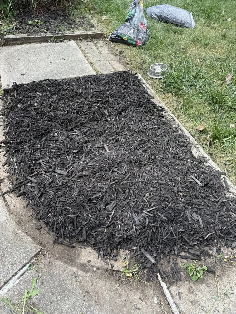 Trusted yard cleanup service for year-round maintenance across Wayne, MI - Josh and Toms Dreamscapes