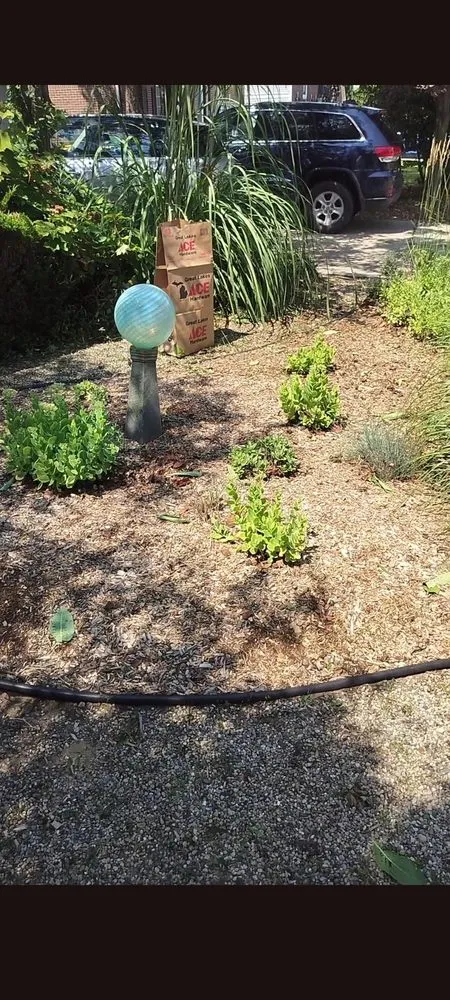 Reliable residential landscaping for beautiful yards across Wayne, MI - Josh and Toms Dreamscapes